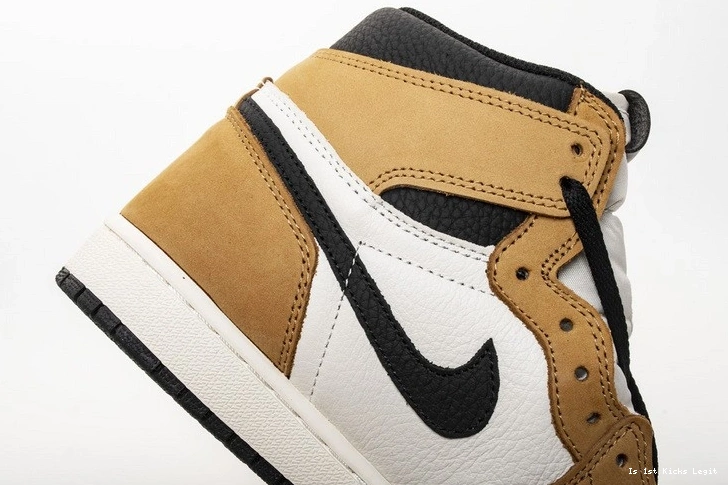 555088-700 of Rookie Year Jordan Air 1 the 0910